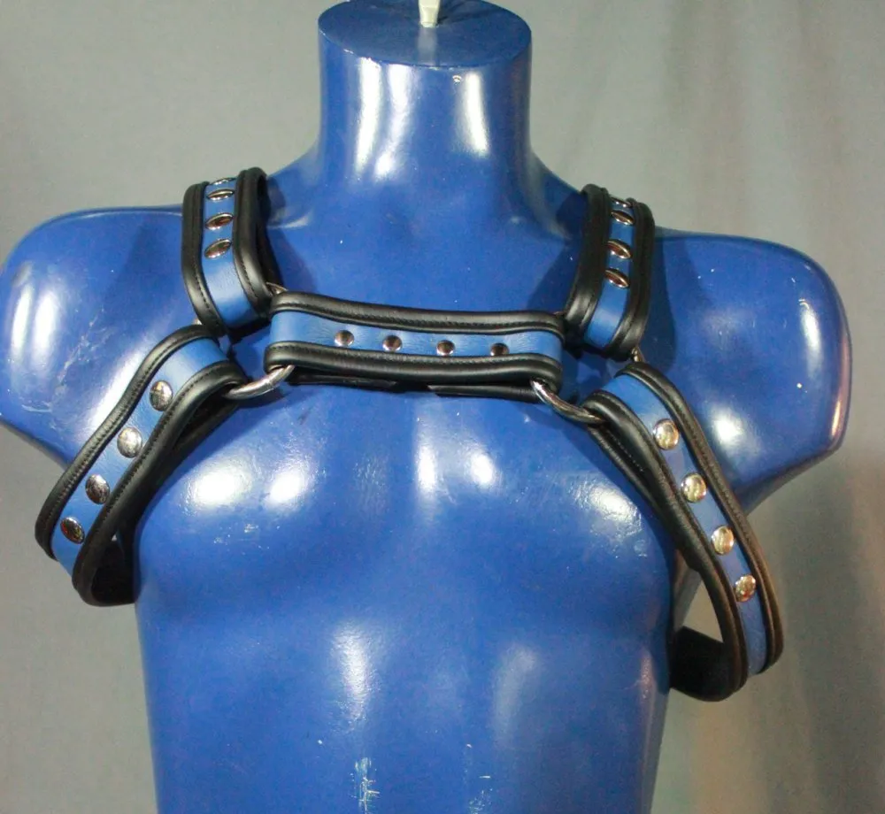 Blue and Black Bulldog Harness with removable backpiece. Two items in one!