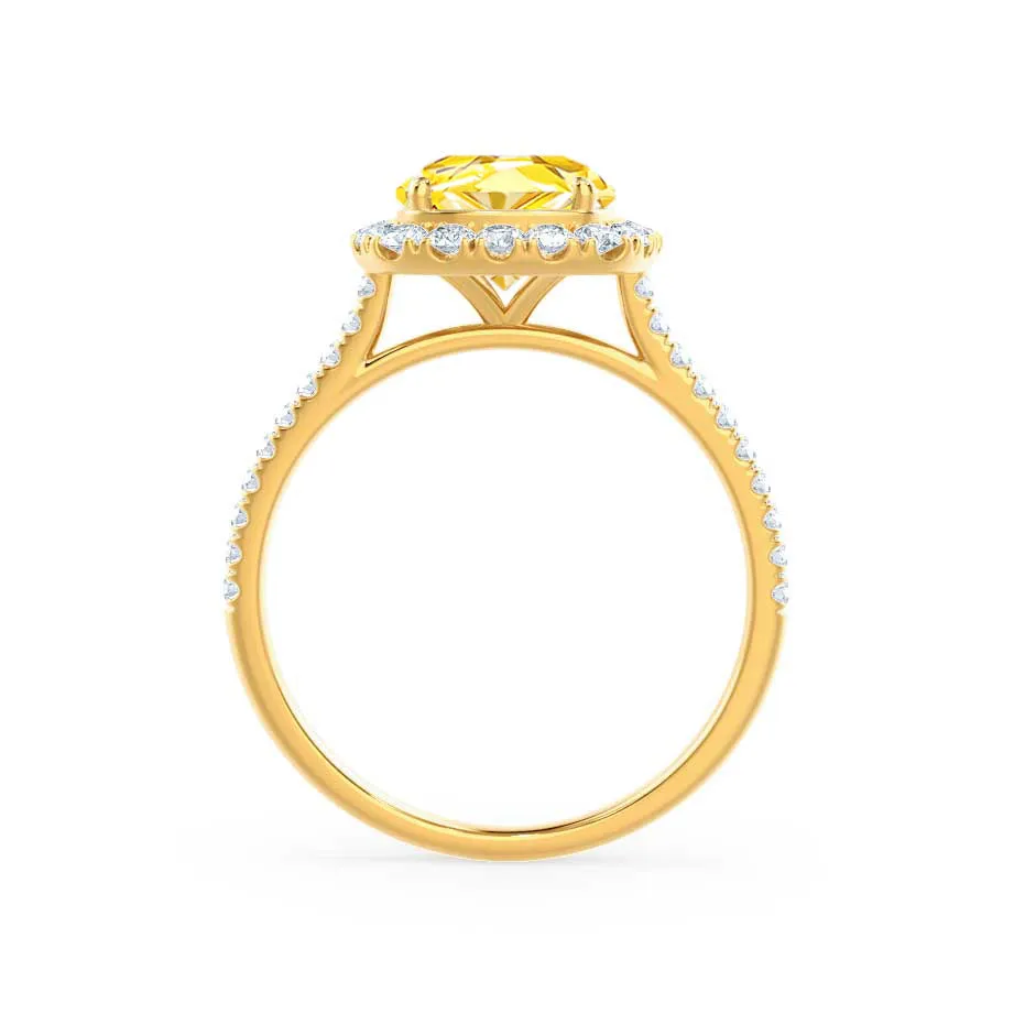 DARLEY - Chatham® Yellow Sapphire Elongated Cushion Micro Pavé 18k Yellow Gold Halo