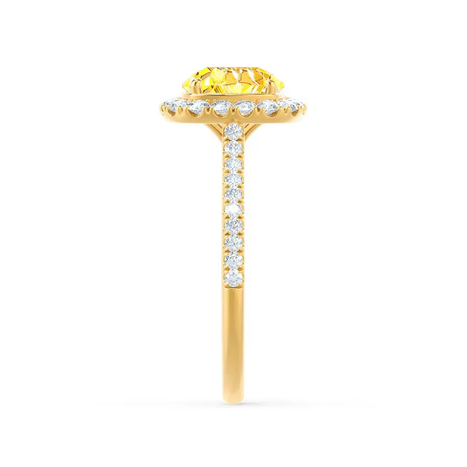 DARLEY - Chatham® Yellow Sapphire Elongated Cushion Micro Pavé 18k Yellow Gold Halo