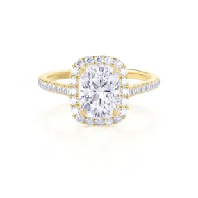 DARLEY - Elongated Cushion Lab Diamond 18k Yellow Gold Halo