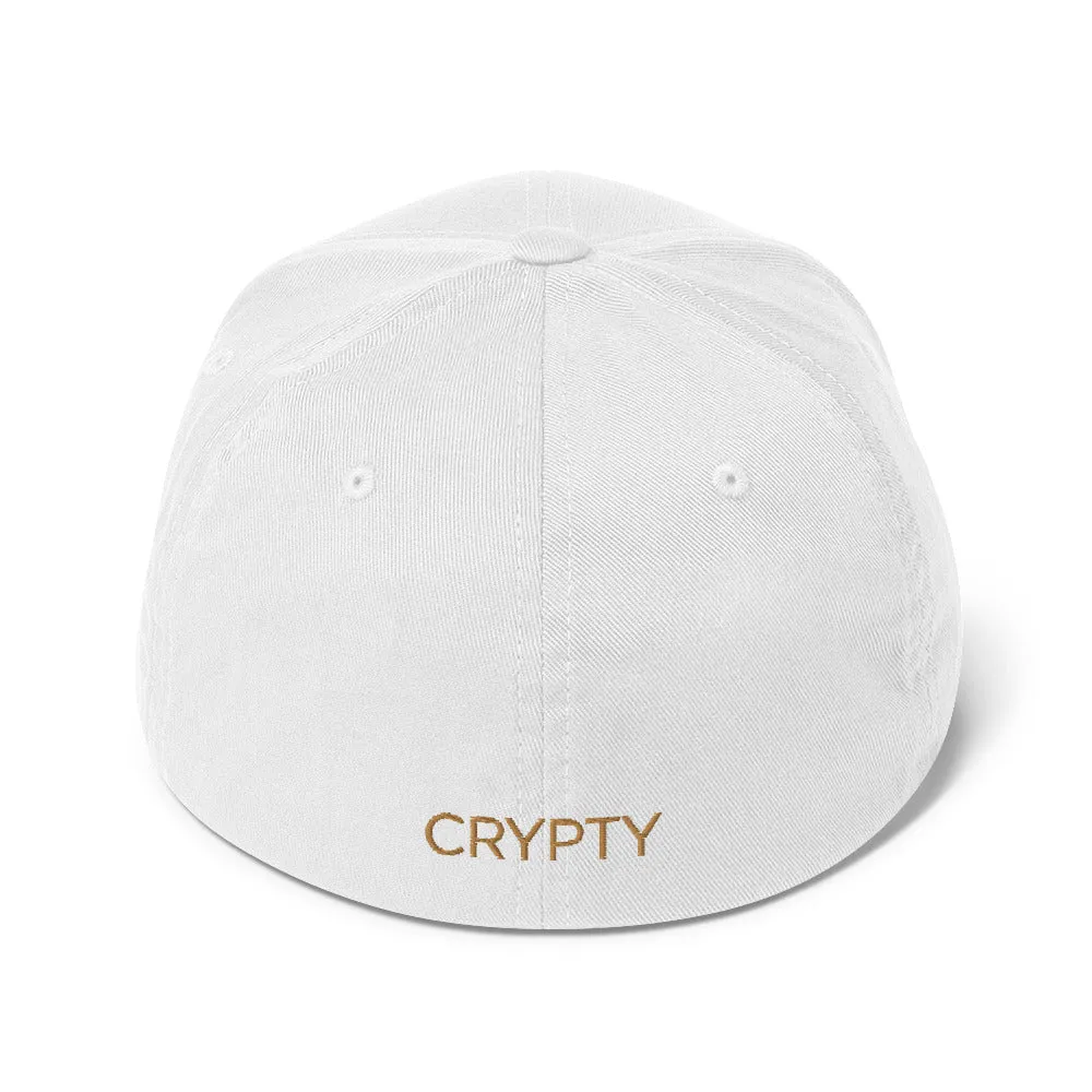 DigiByte Classic Flexfit - Light Hats