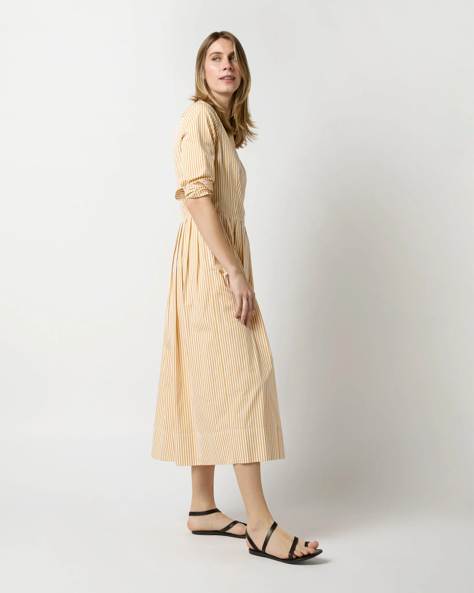 Felicity Shirtwaist Dress in Gold Bengal Stripe Poplin