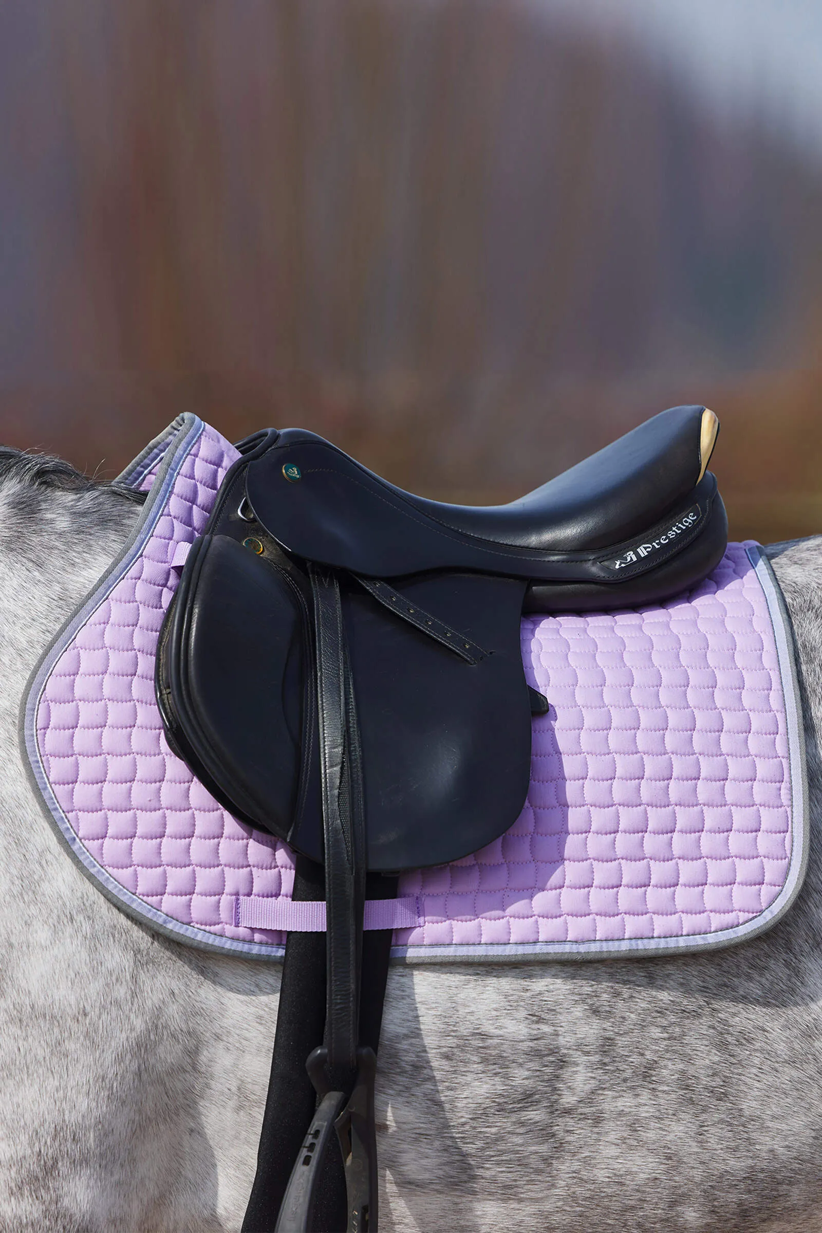 Horze Adepto All Purpose Pad (Lavendar Purple)