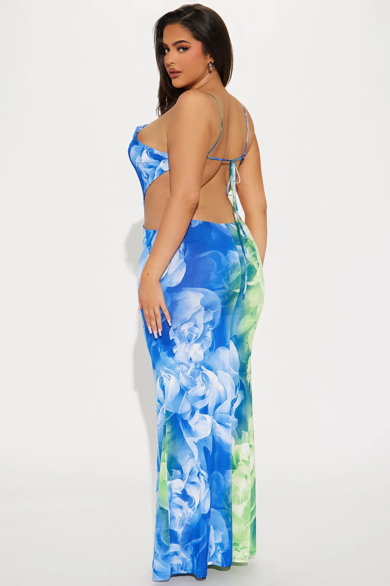 Pricilla Backless Maxi Dress - Blue/combo