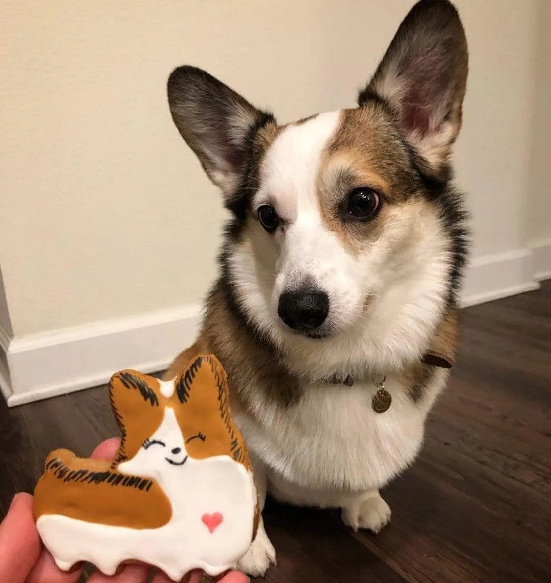 Set of 3 | Corgi Cookie Cutters