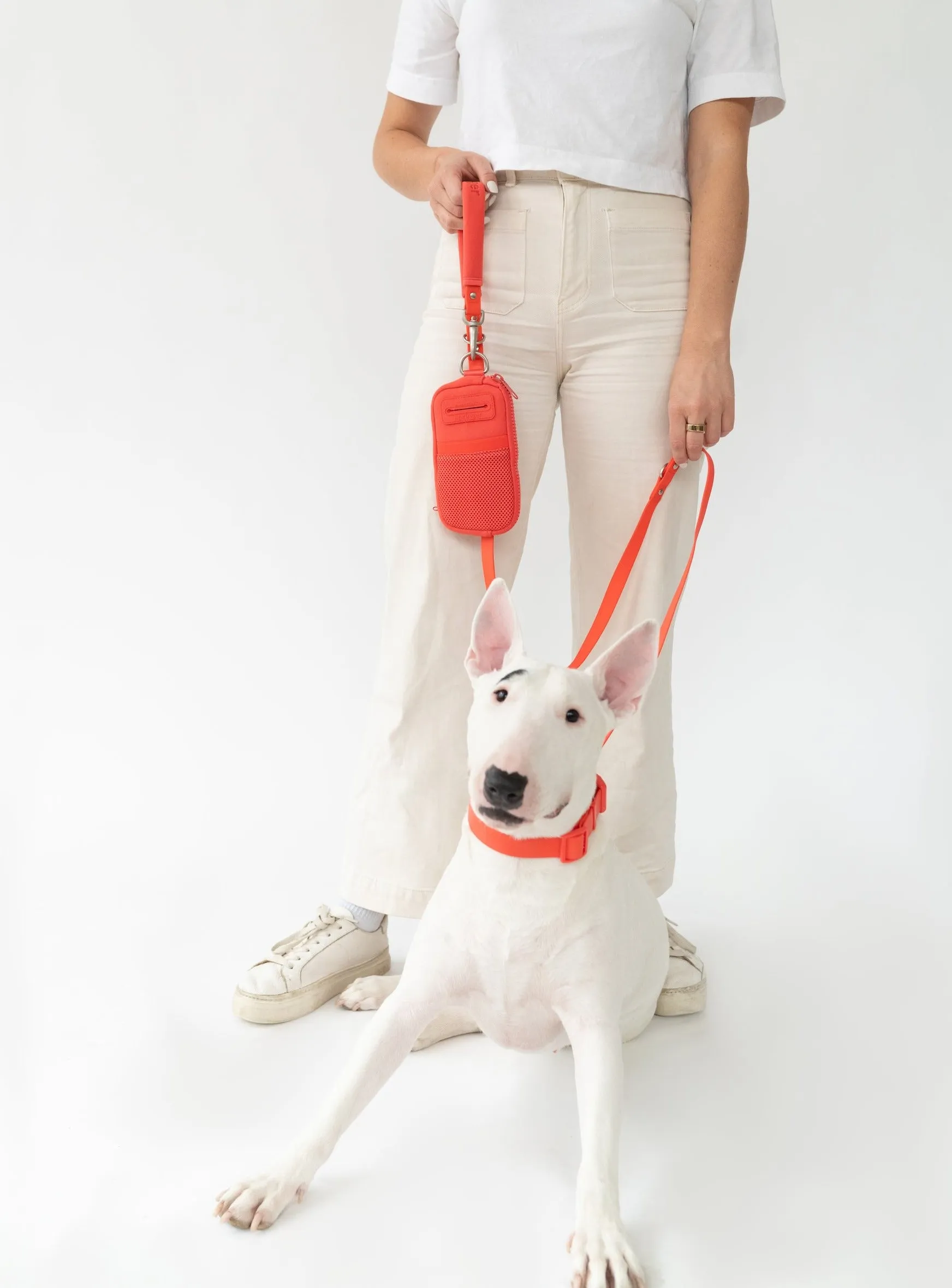 Walk Bag   Leash by Springer