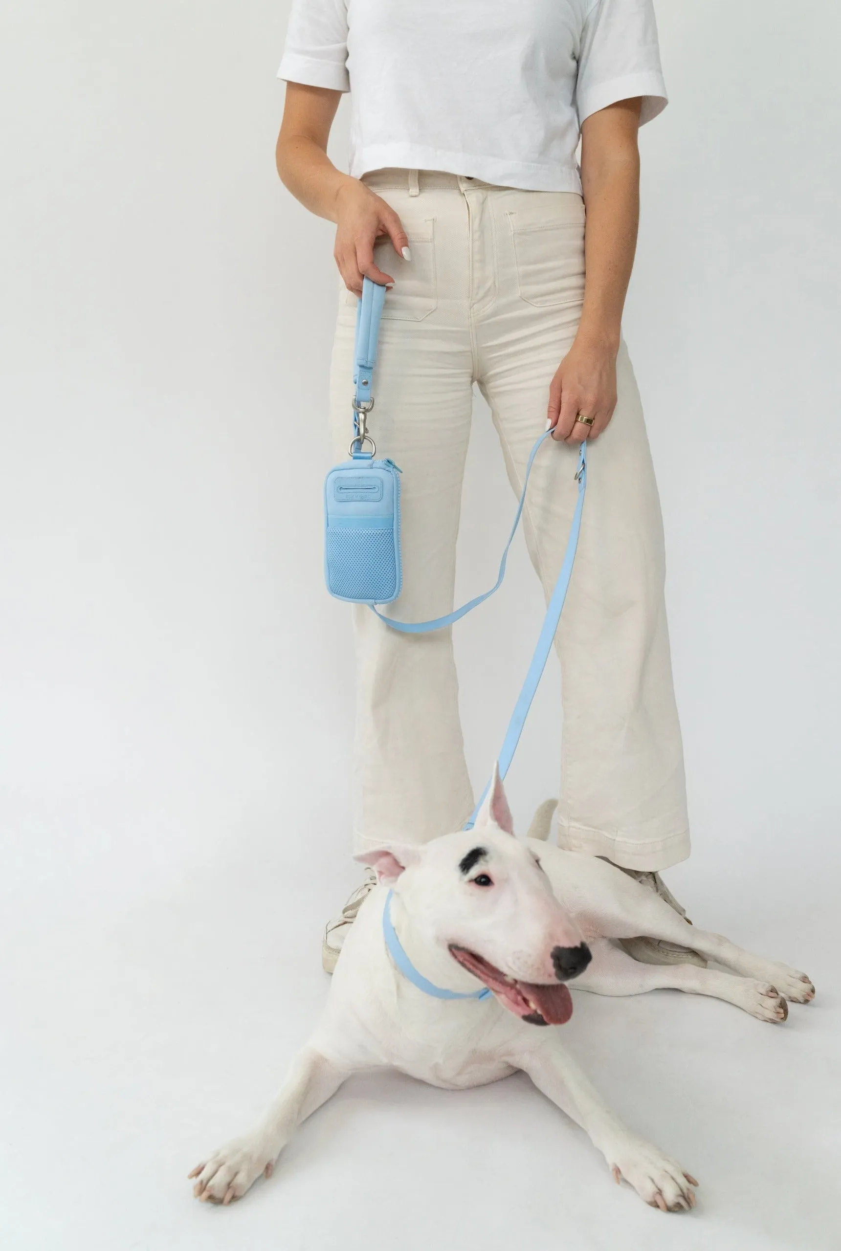 Walk Bag   Leash by Springer