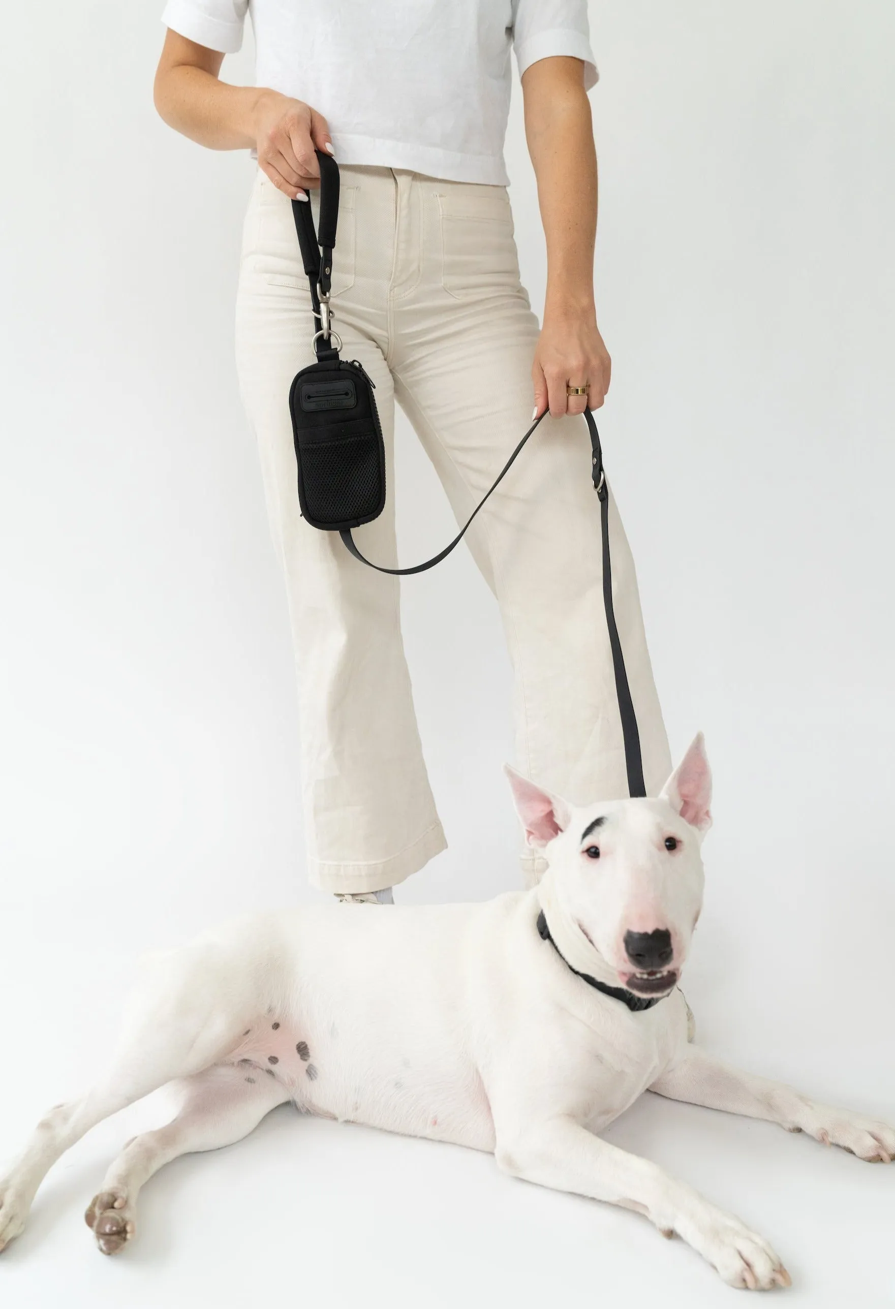 Walk Bag   Leash by Springer