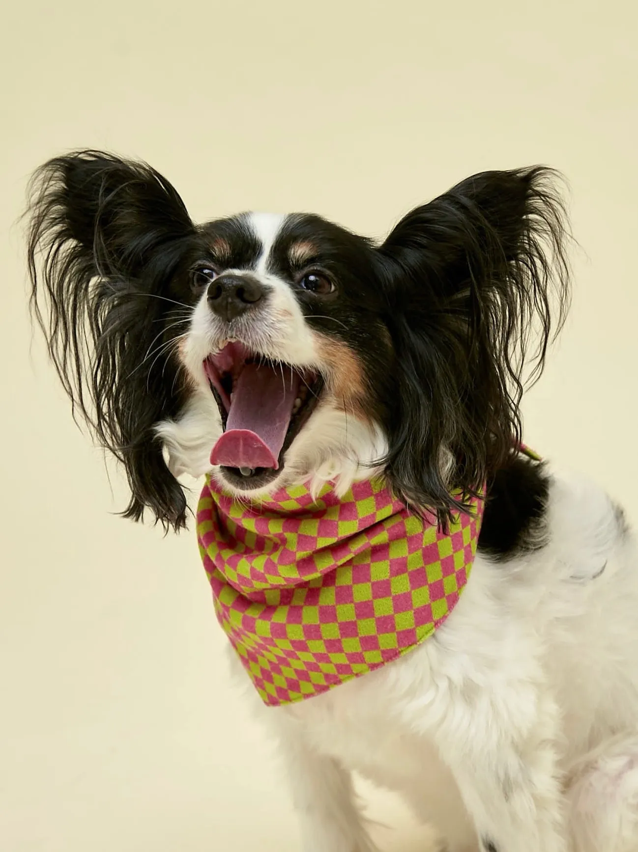 Weekend Picnic Bandana