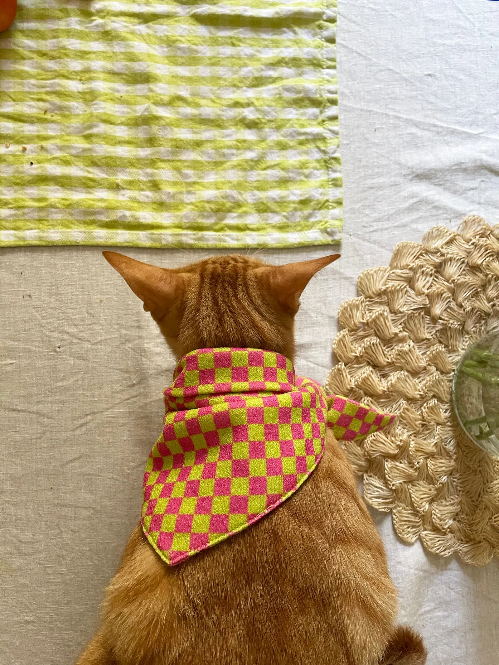 Weekend Picnic Bandana